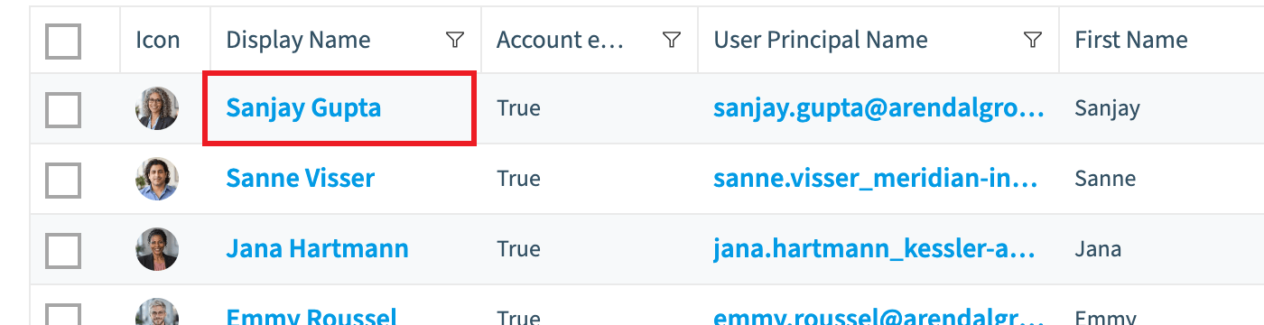 Users data grid with the display name of the first user highlighted